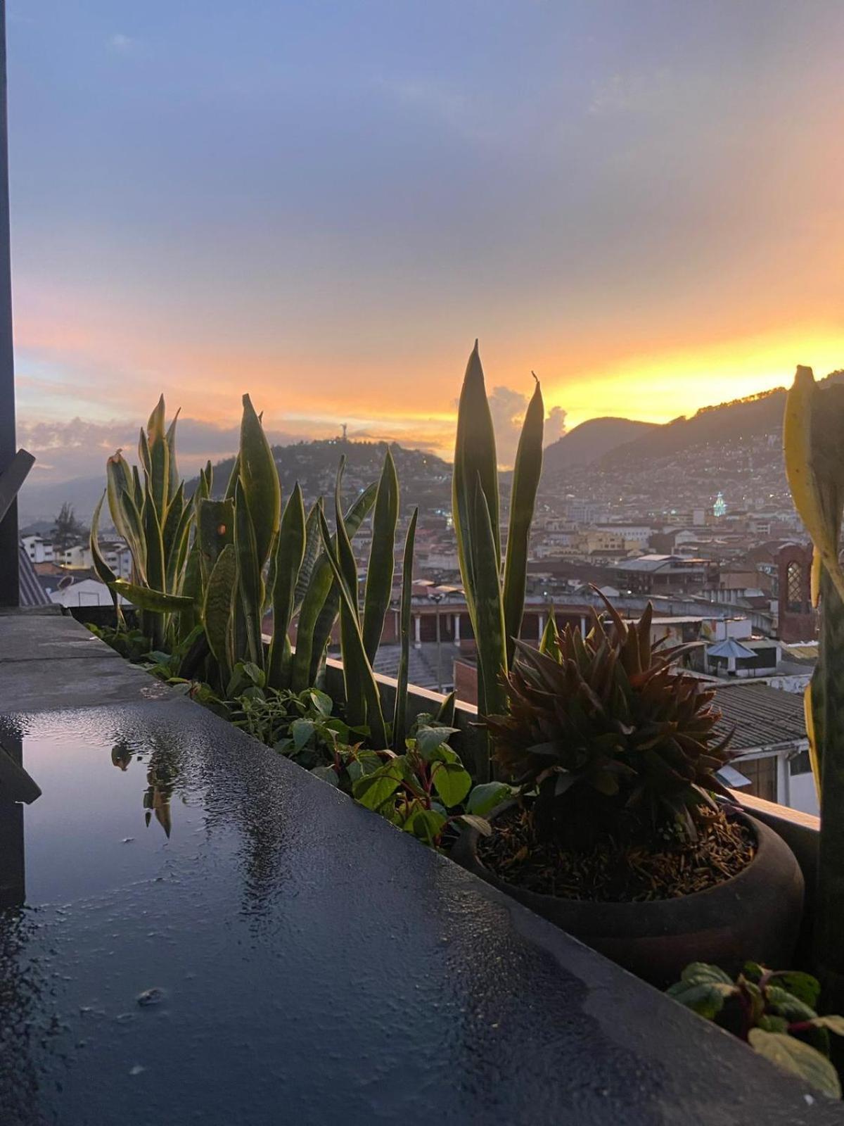 Hostal La Guayunga Rooftop Quito Eksteriør bilde